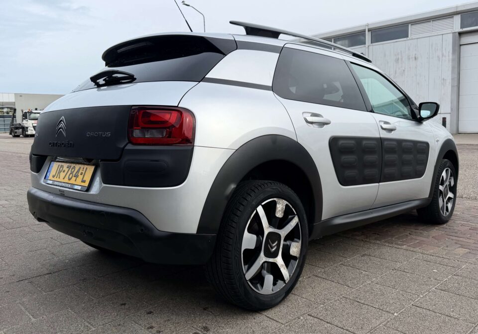 citroen c4 cactus 10
