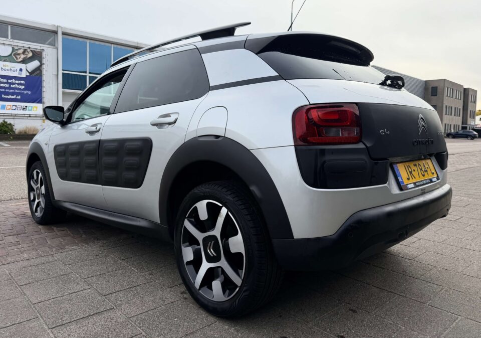 citroen c4 cactus 11