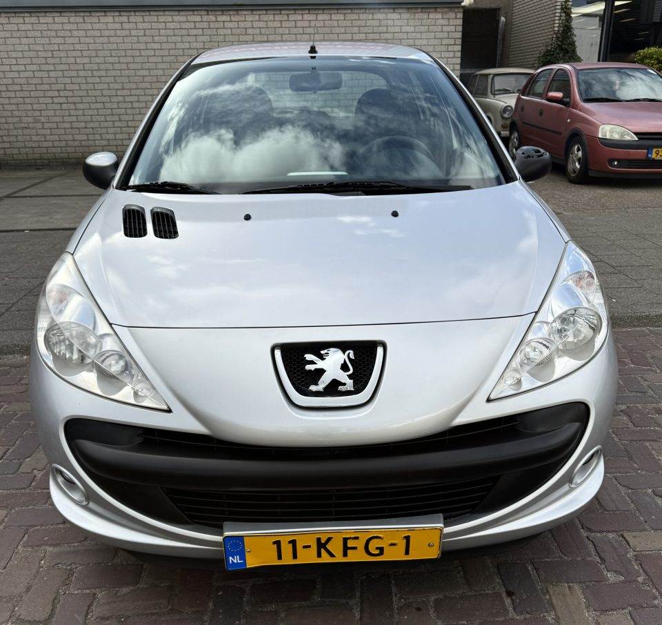 peugeot 206+ 3